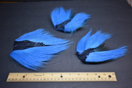 Lot 3,  FLUORESCENT BLUE  Deer Tail Bucktail Pieces Buck Tail for Fly Tying