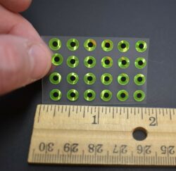 24 FLUORESCENT LIME 3D Soft Molded 3/16"  5mm  Eyes Fly Tying Lures 