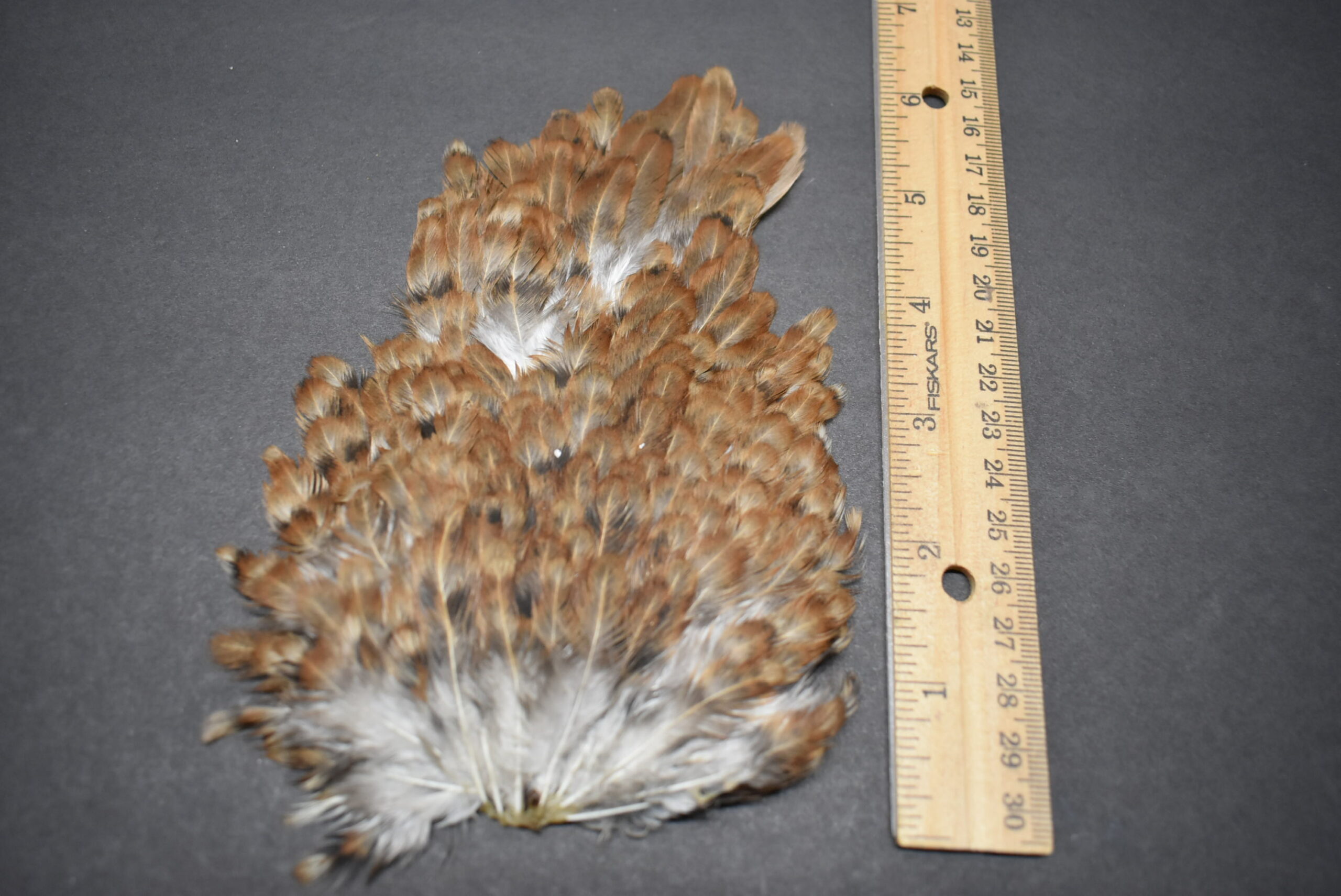 Hackle Feathers 