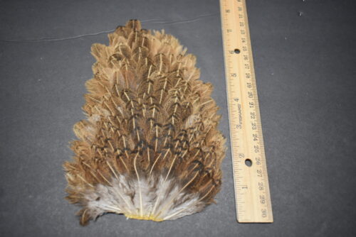 Lot 32,  Whole Hen Back / Saddle Soft Hackle Feathers for Fly Tying