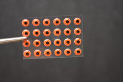 24  HURRICANE   3D Soft Molded 3/16" Eyes Fly Tying Lures 