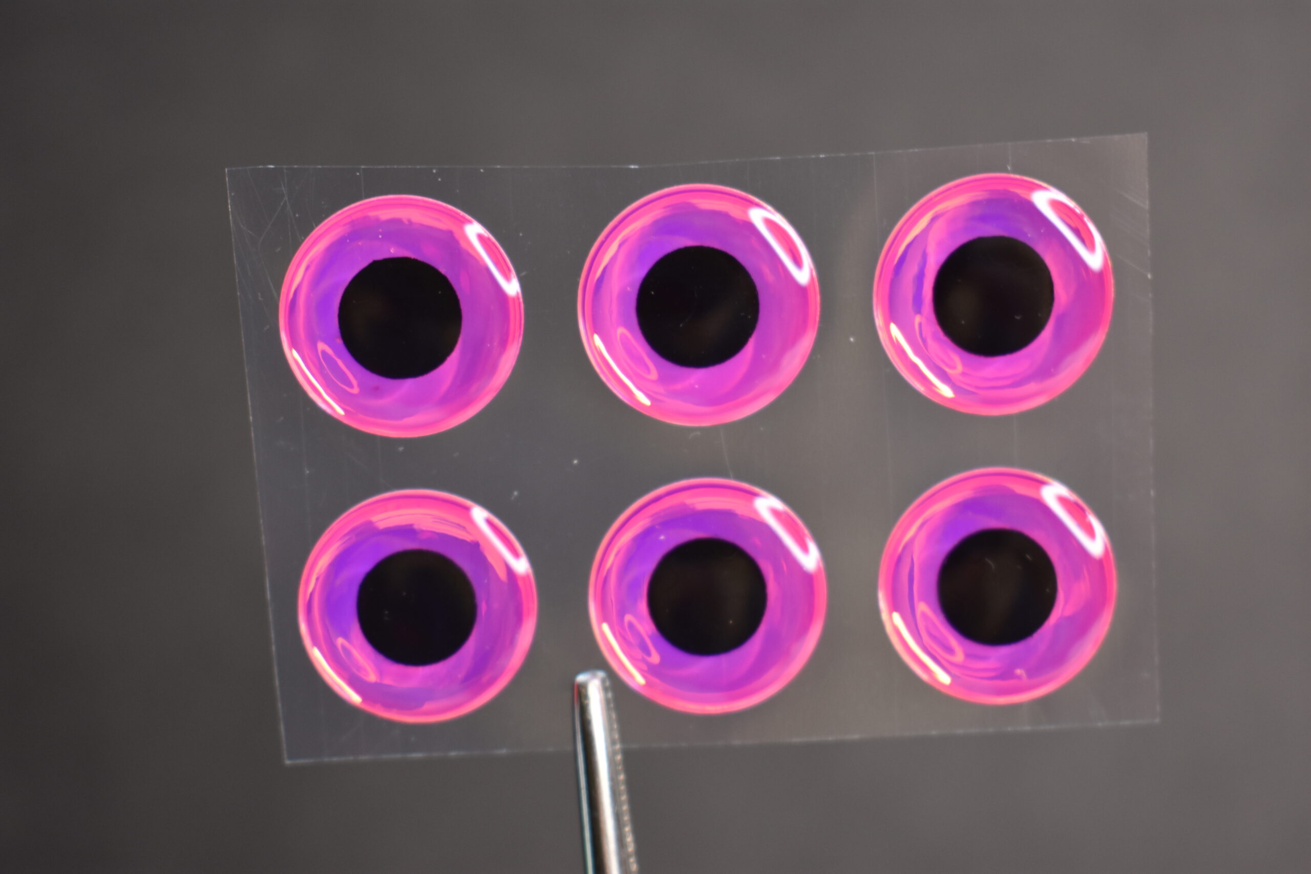 24  3D  NEON PINK with Black Pupil Molded 8mm or 5/16" Adhesive Lure Eyes for Fly Tying