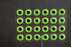 24,  3D  NEON LIME w/ Black Pupil Molded 7mm or .28" Adhesive Lure Eyes for Fly Tying