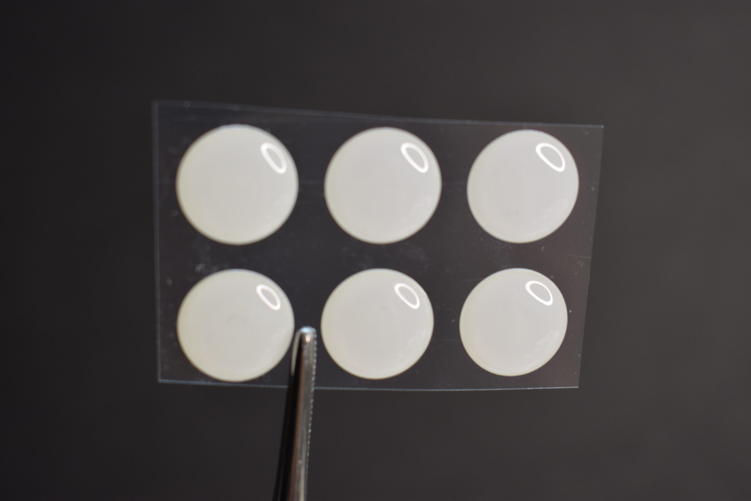 24, SOLID WHITE 3D Molded 7mm or .28" Adhesive Lure Eyes for Fly Tying