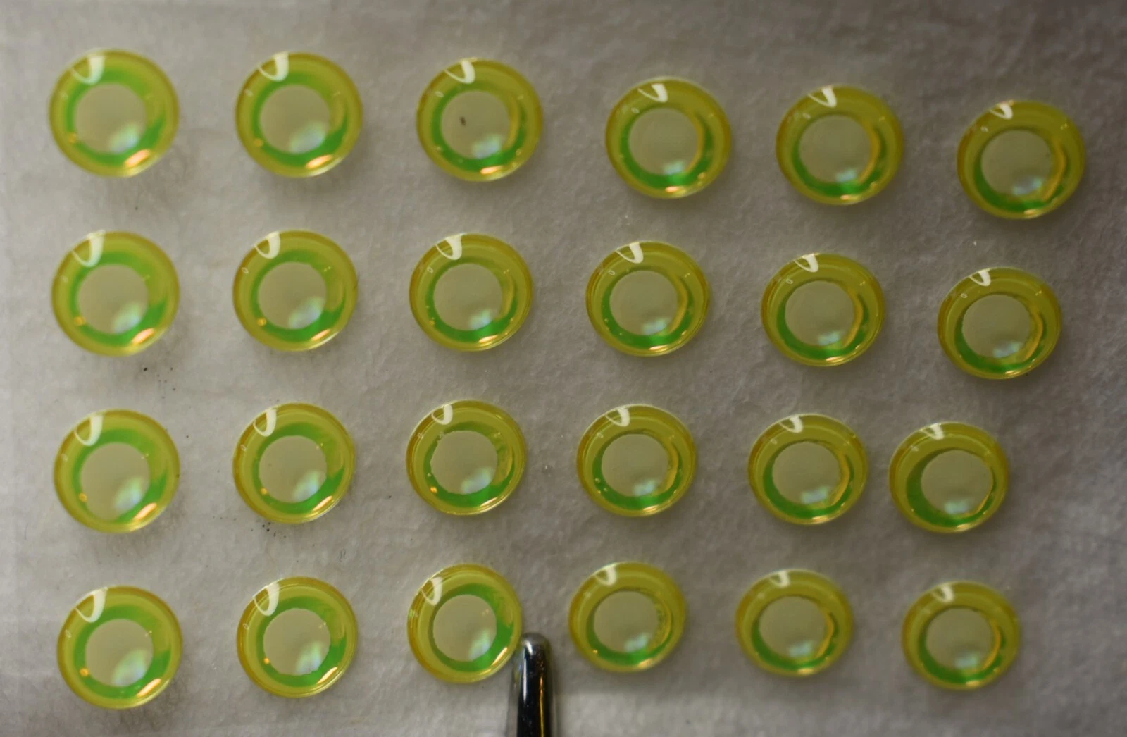 24, 3D NEON LIME w/ White Pupil Molded 7mm or .28" Adhesive Lure Eyes for Fly Tying
