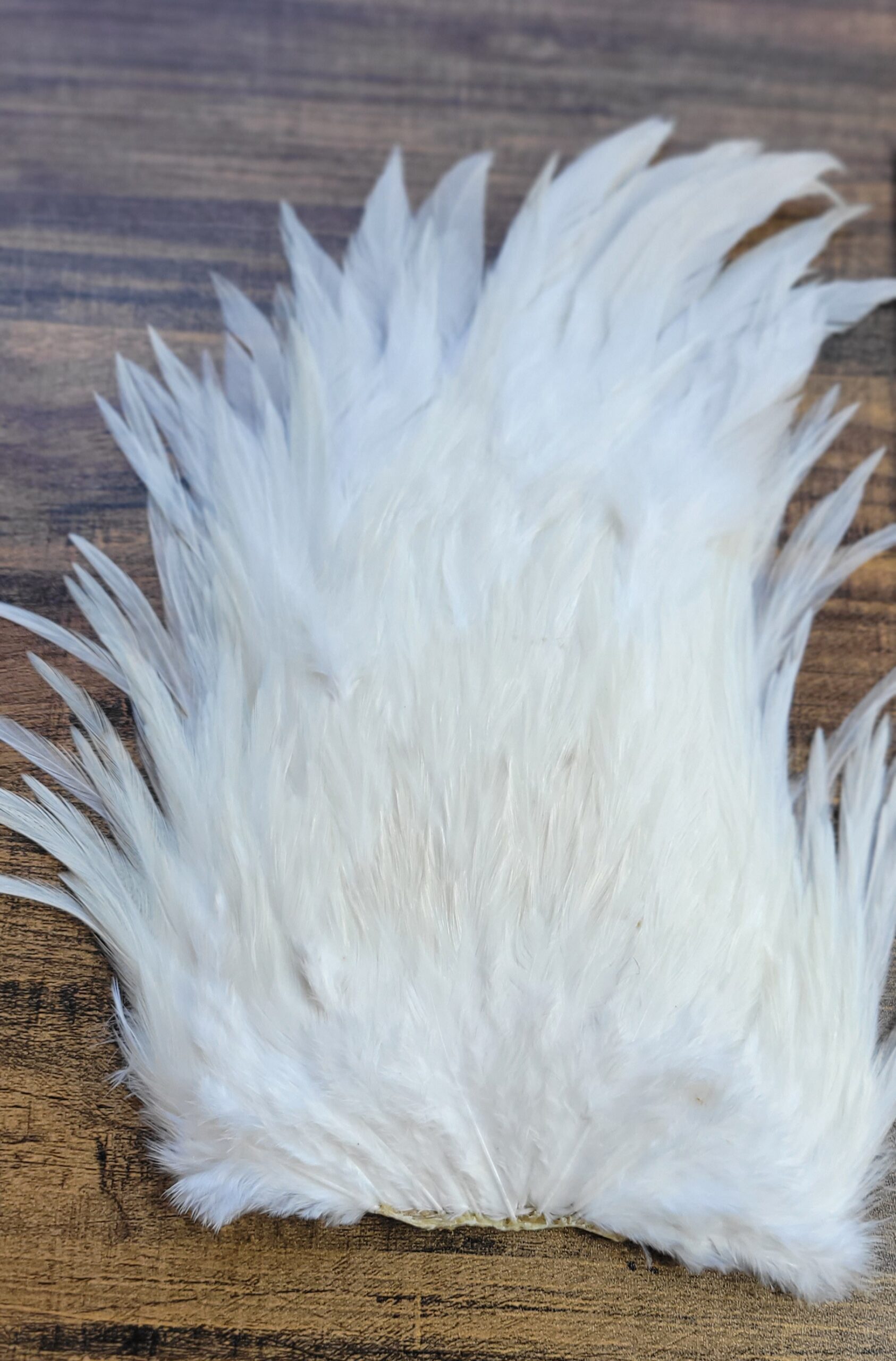Lot 1, Extra Large Dyed WHITE India Rooster "Streamer" Saddle Feathers Fly Tying Jewelry Crafts - Image 2
