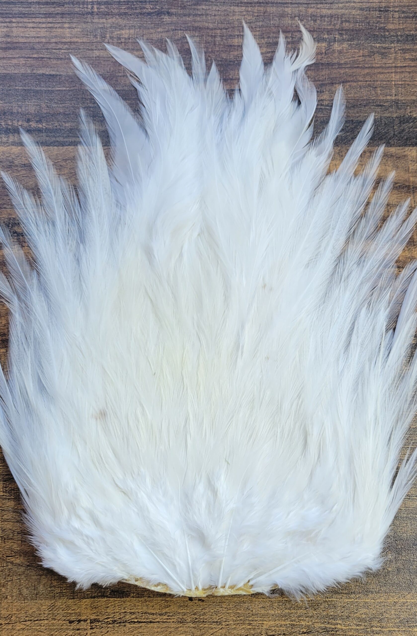 Lot 2, Extra Large Dyed WHITE India Rooster "Streamer" Saddle Feathers Fly Tying Jewelry Crafts - Image 3