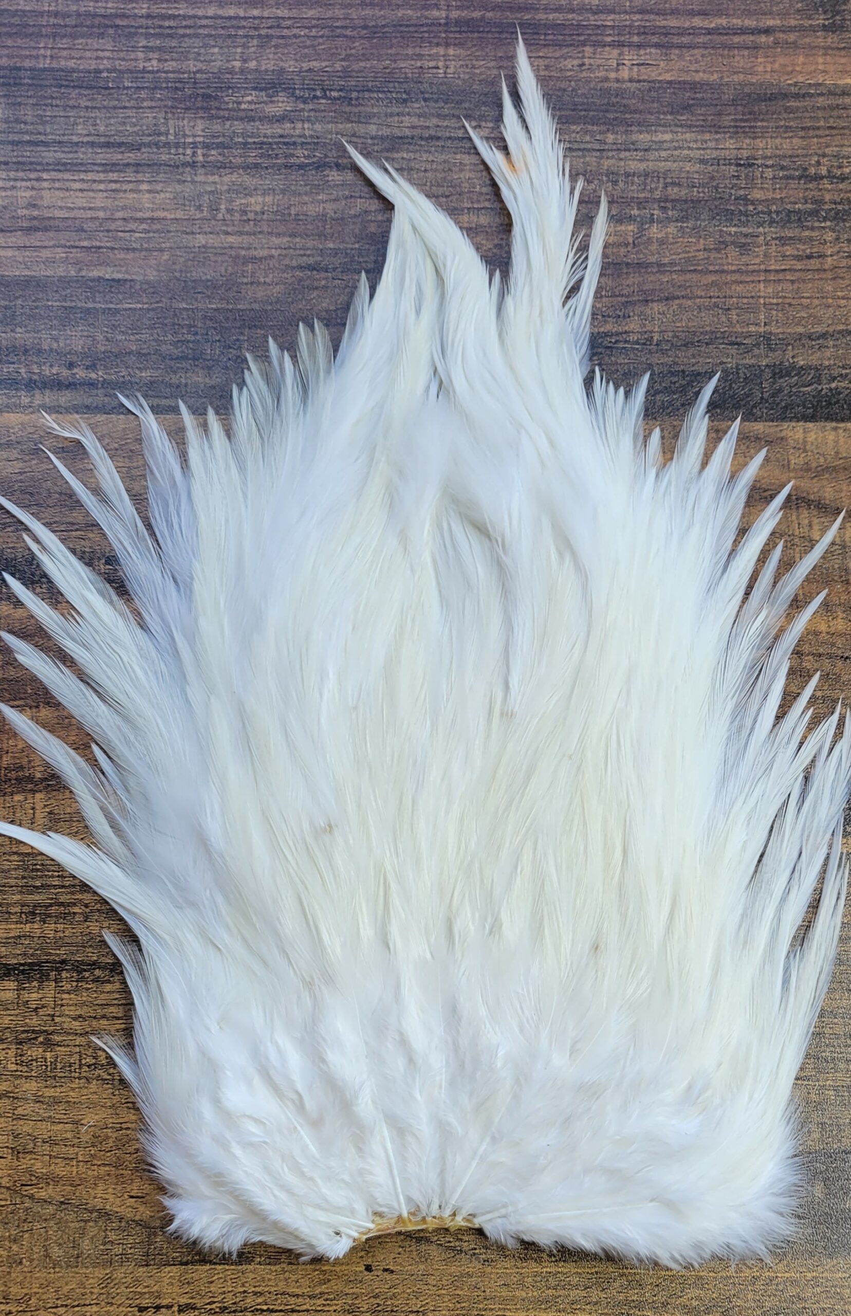 Lot 4, Extra Large Dyed WHITE India Rooster "Streamer" Saddle Feathers Fly Tying Jewelry Crafts - Image 3