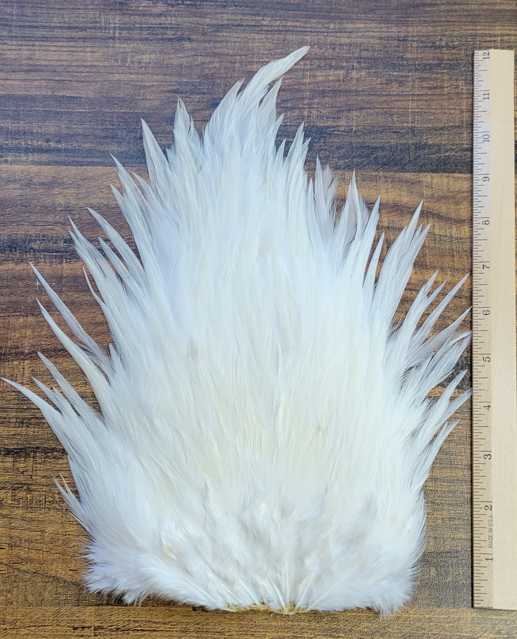 Lot 5, Extra Large Dyed WHITE India Rooster "Streamer" Saddle Feathers Fly Tying Jewelry Crafts