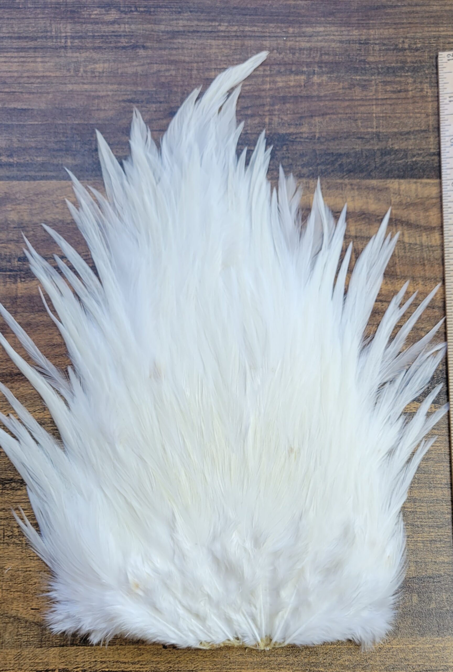 Lot 5, Extra Large Dyed WHITE India Rooster "Streamer" Saddle Feathers Fly Tying Jewelry Crafts - Image 3
