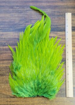 Lot 9, Extra Large Dyed OLIVE India Rooster "Streamer" Saddle Feathers Fly Tying Jewelry Crafts
