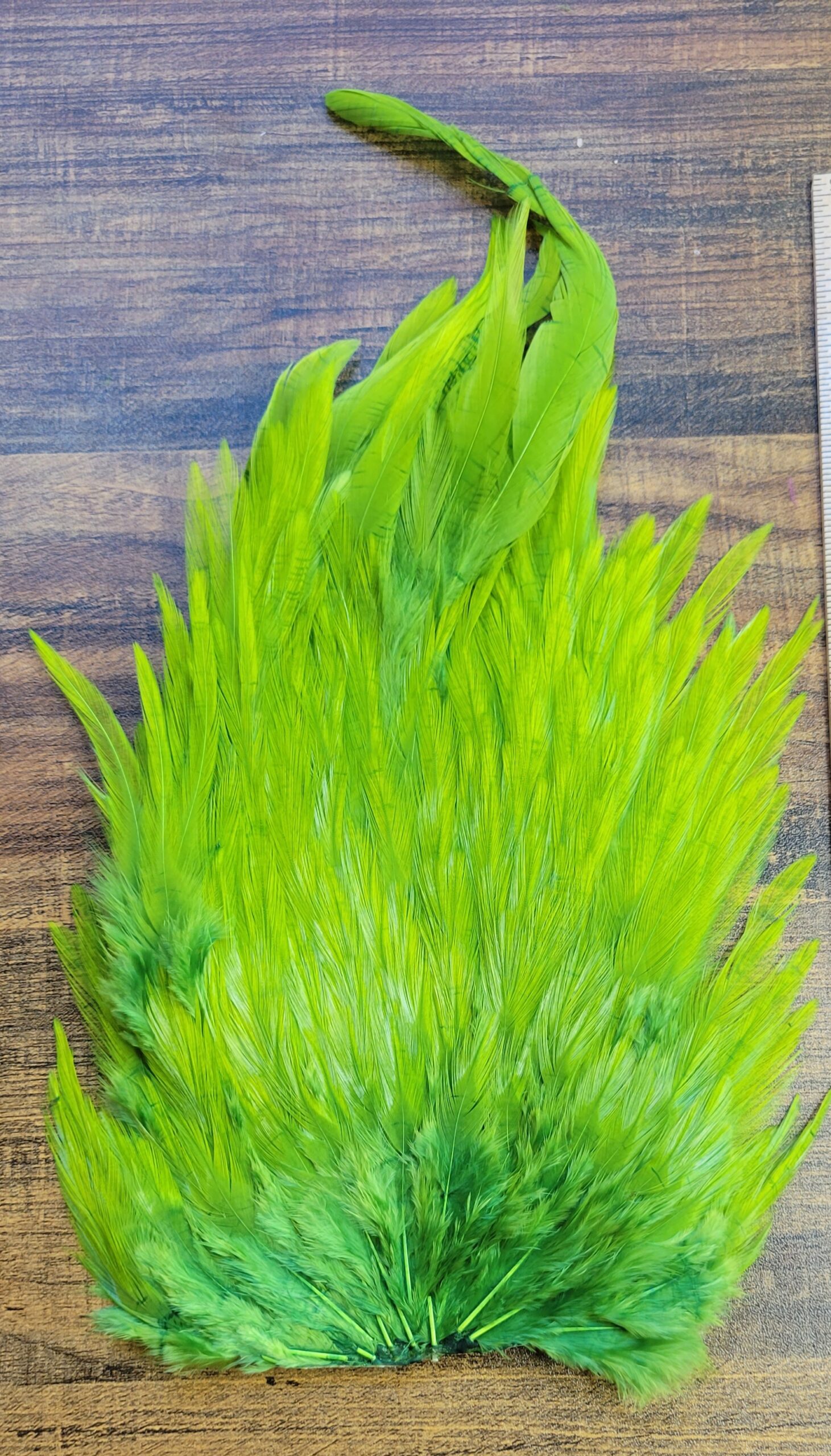 Lot 9, Extra Large Dyed OLIVE India Rooster "Streamer" Saddle Feathers Fly Tying Jewelry Crafts - Image 3