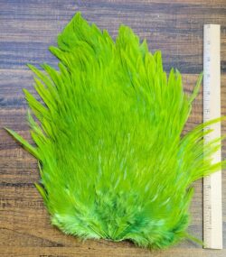 Lot 10, Extra Large Dyed OLIVE India Rooster "Streamer" Saddle Feathers Fly Tying Jewelry Crafts