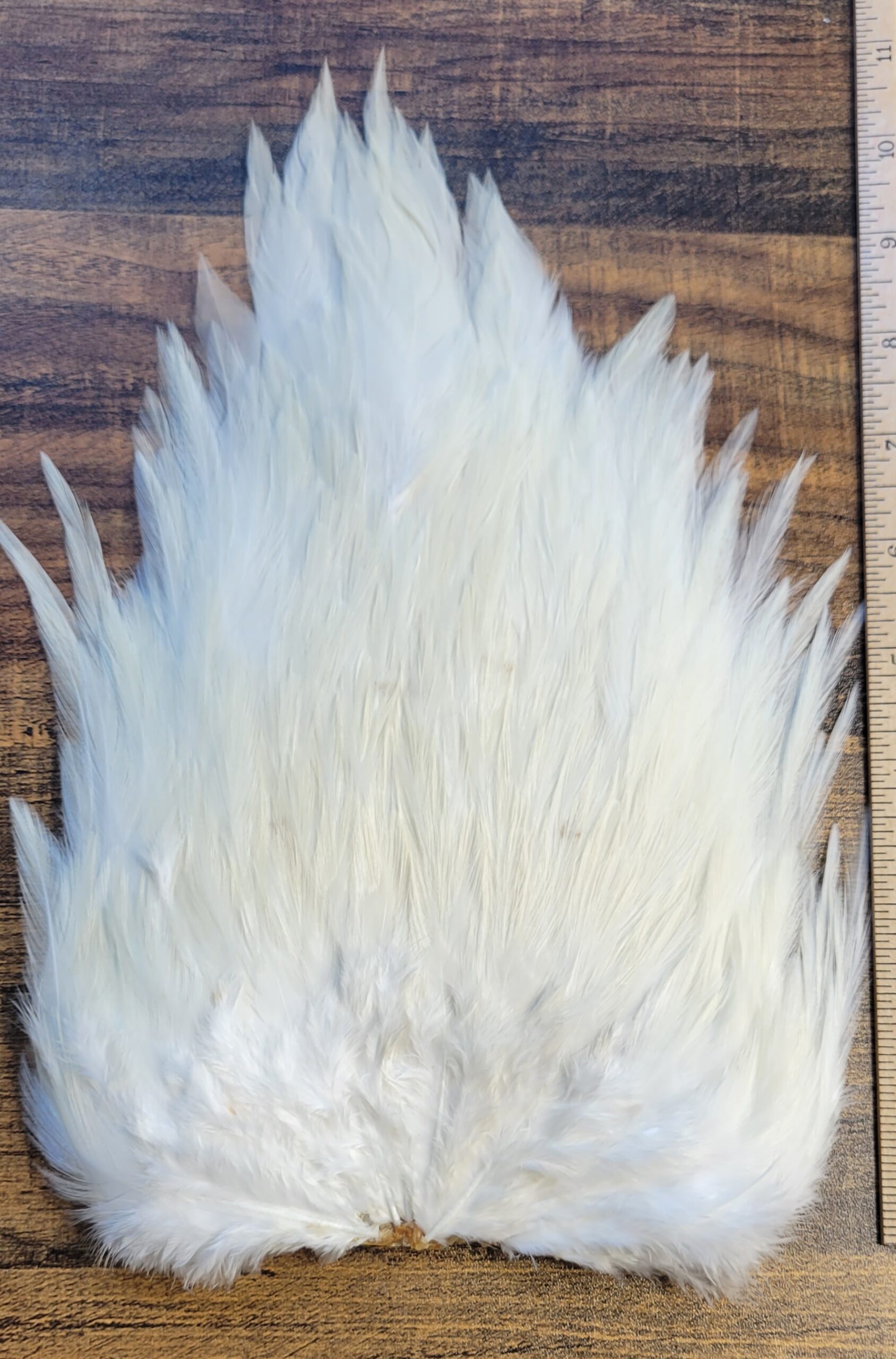 Lot 18, Extra Large Dyed WHITE India Rooster "Streamer" Saddle Feathers Fly Tying Jewelry Crafts - Image 3