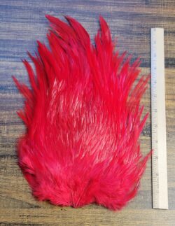 Lot 25, Extra Large Dyed RED India Rooster "Streamer" Saddle Feathers Fly Tying Jewelry Crafts