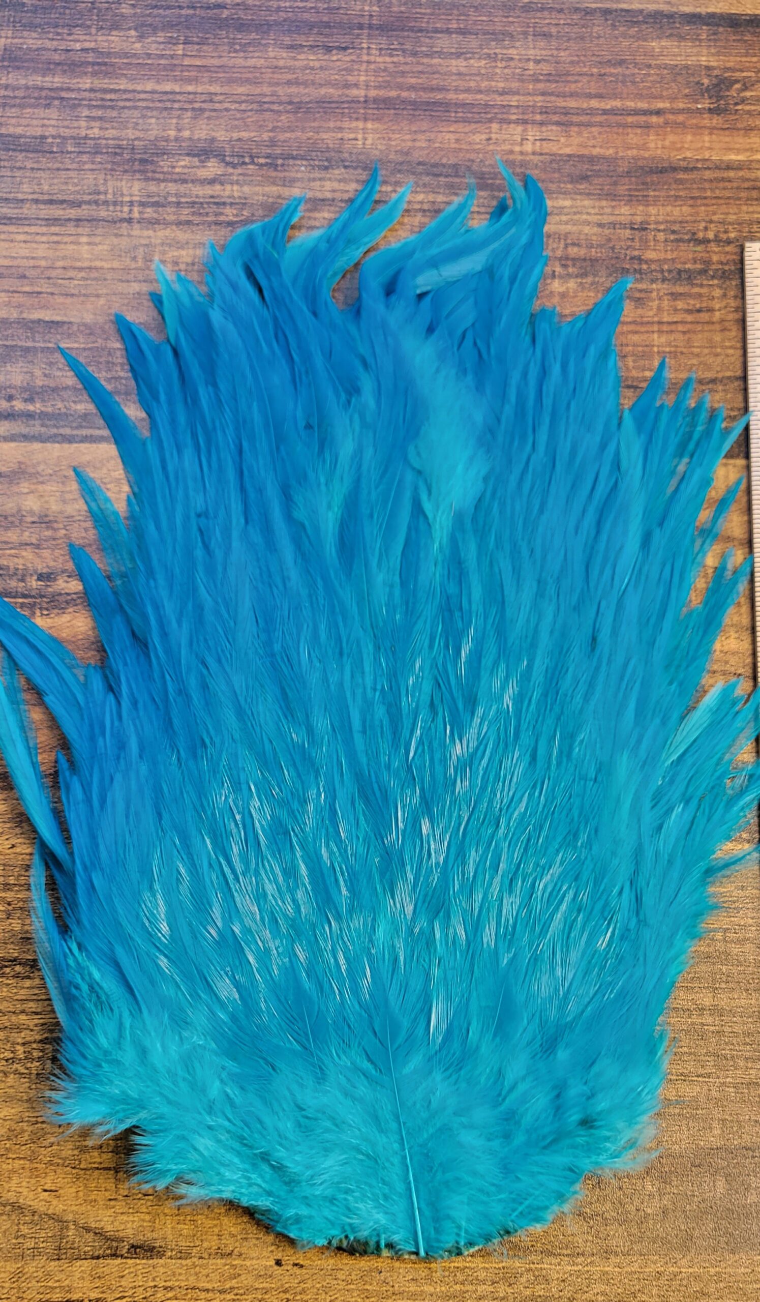 Lot 29, Extra Large Dyed BLUE India Rooster "Streamer" Saddle Feathers Fly Tying Jewelry Crafts - Image 3