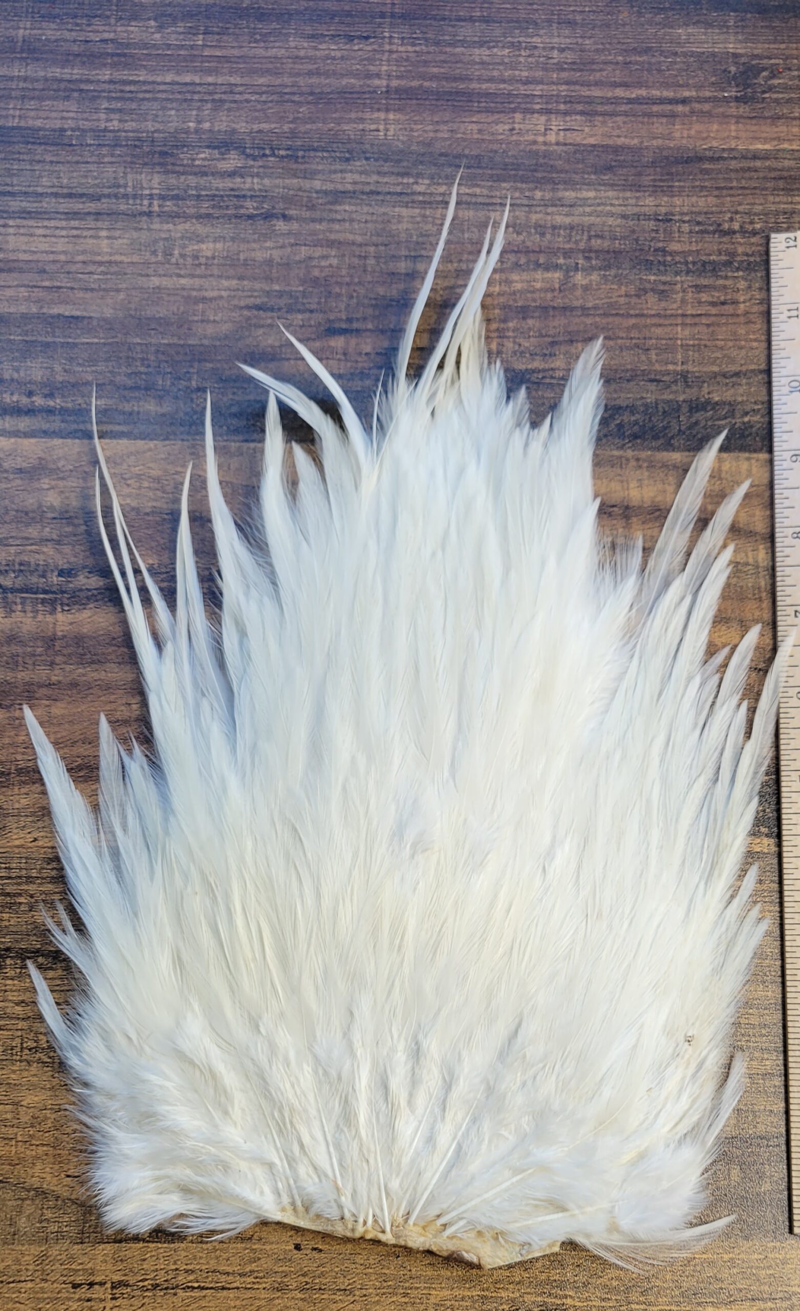 Lot 34, Extra Large Dyed WHITE India Rooster "Streamer" Saddle Feathers Fly Tying Jewelry Crafts - Image 3