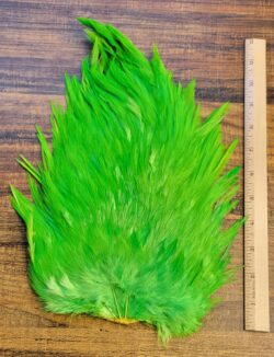 Lot 35, Extra Large Dyed CHARTREUSE India Rooster "Streamer" Saddle Feathers Fly Tying Jewelry Crafts