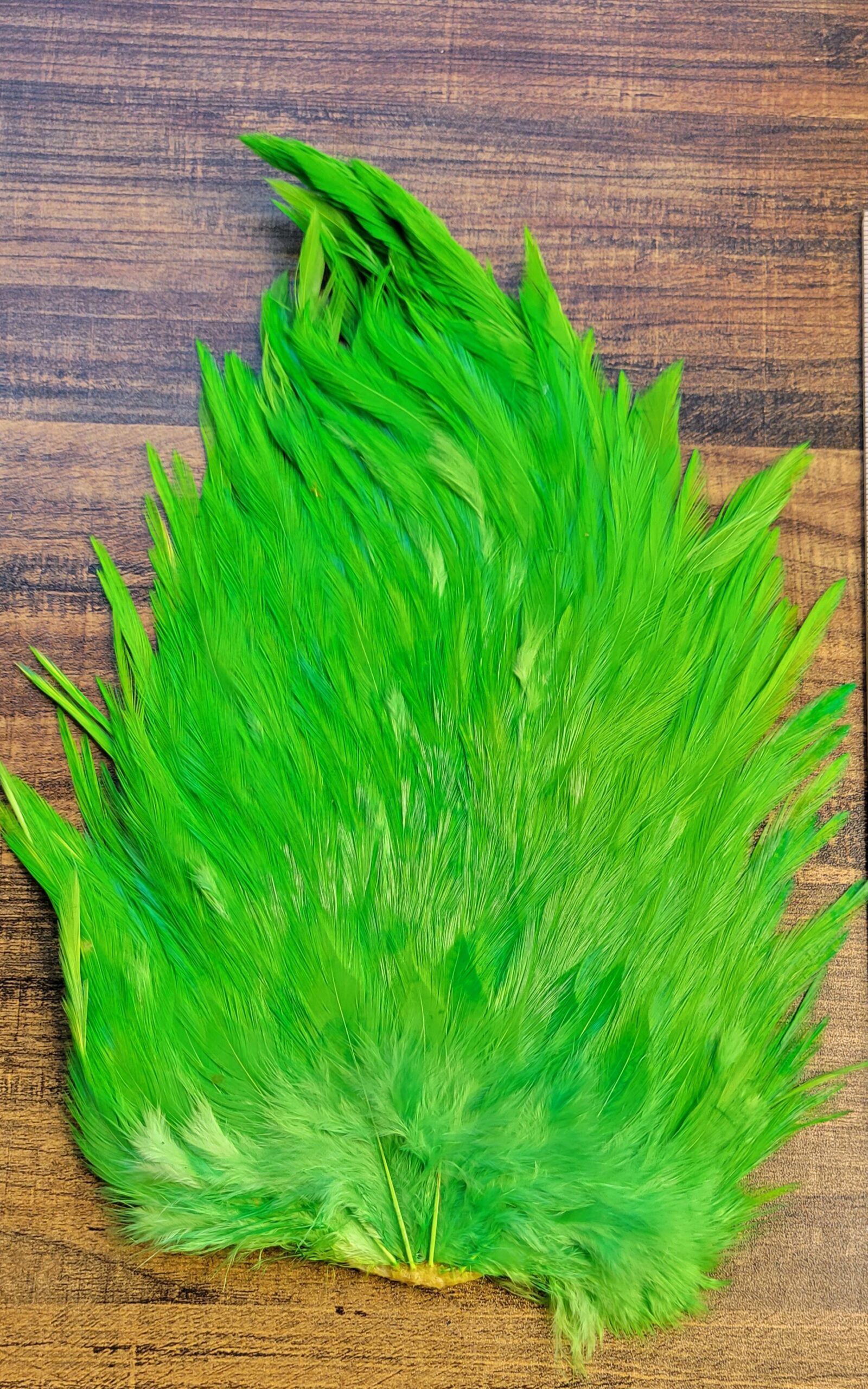 Lot 35, Extra Large Dyed CHARTREUSE India Rooster "Streamer" Saddle Feathers Fly Tying Jewelry Crafts - Image 3