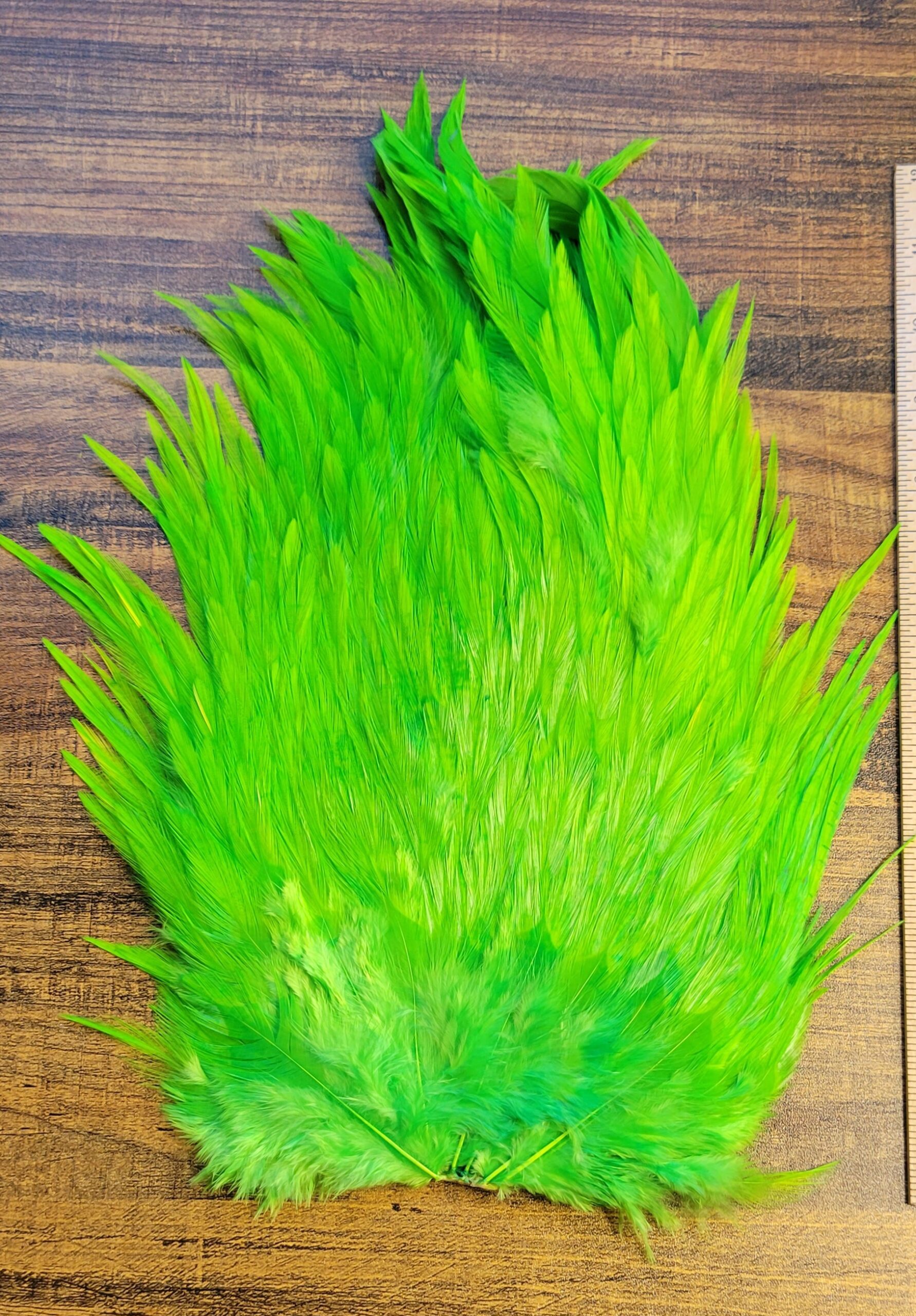 Lot 37, Extra Large Dyed CHARTREUSE India Rooster "Streamer" Saddle Feathers Fly Tying Jewelry Crafts - Image 3