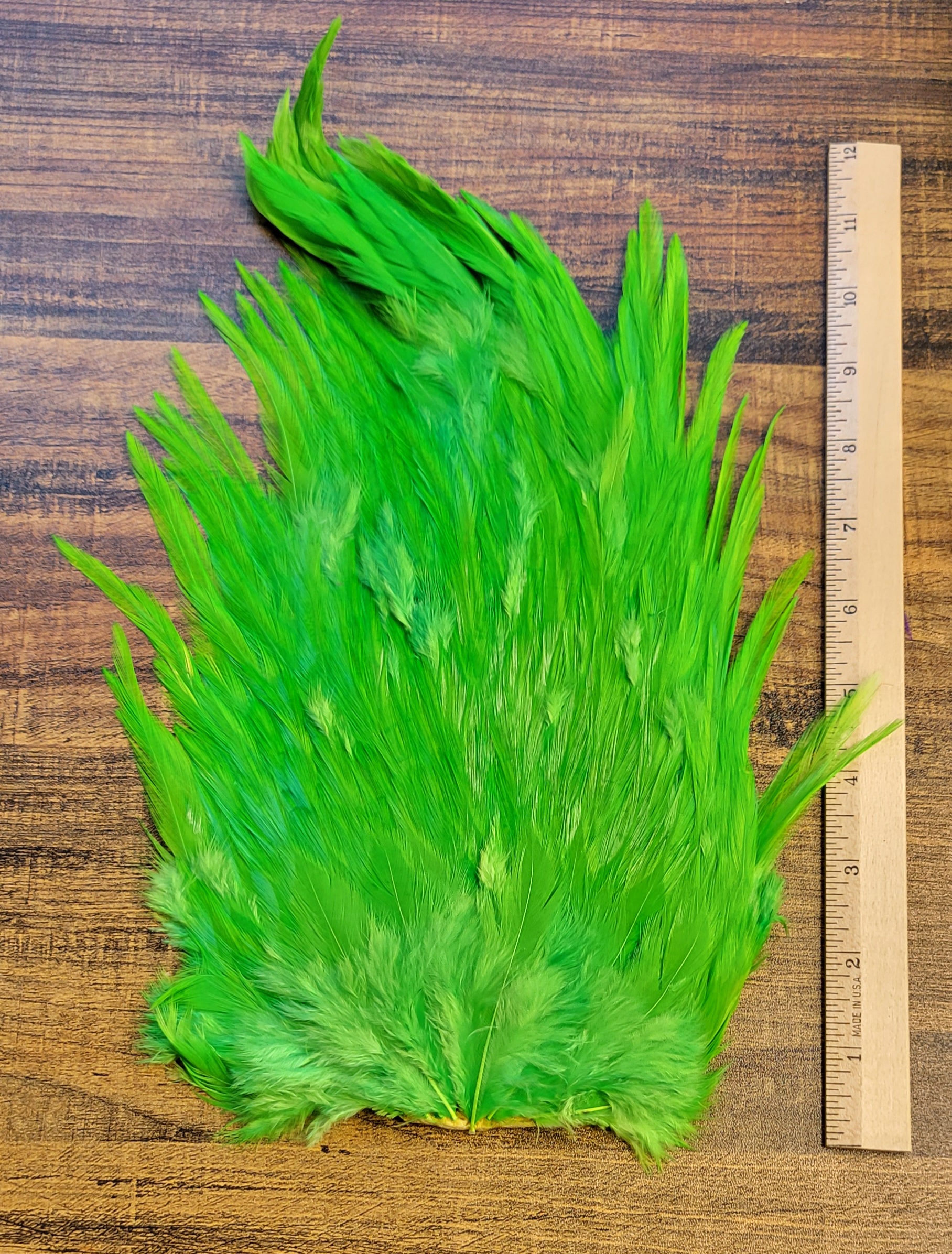 Lot 37, Extra Large Dyed CHARTREUSE India Rooster "Streamer" Saddle Feathers Fly Tying Jewelry Crafts