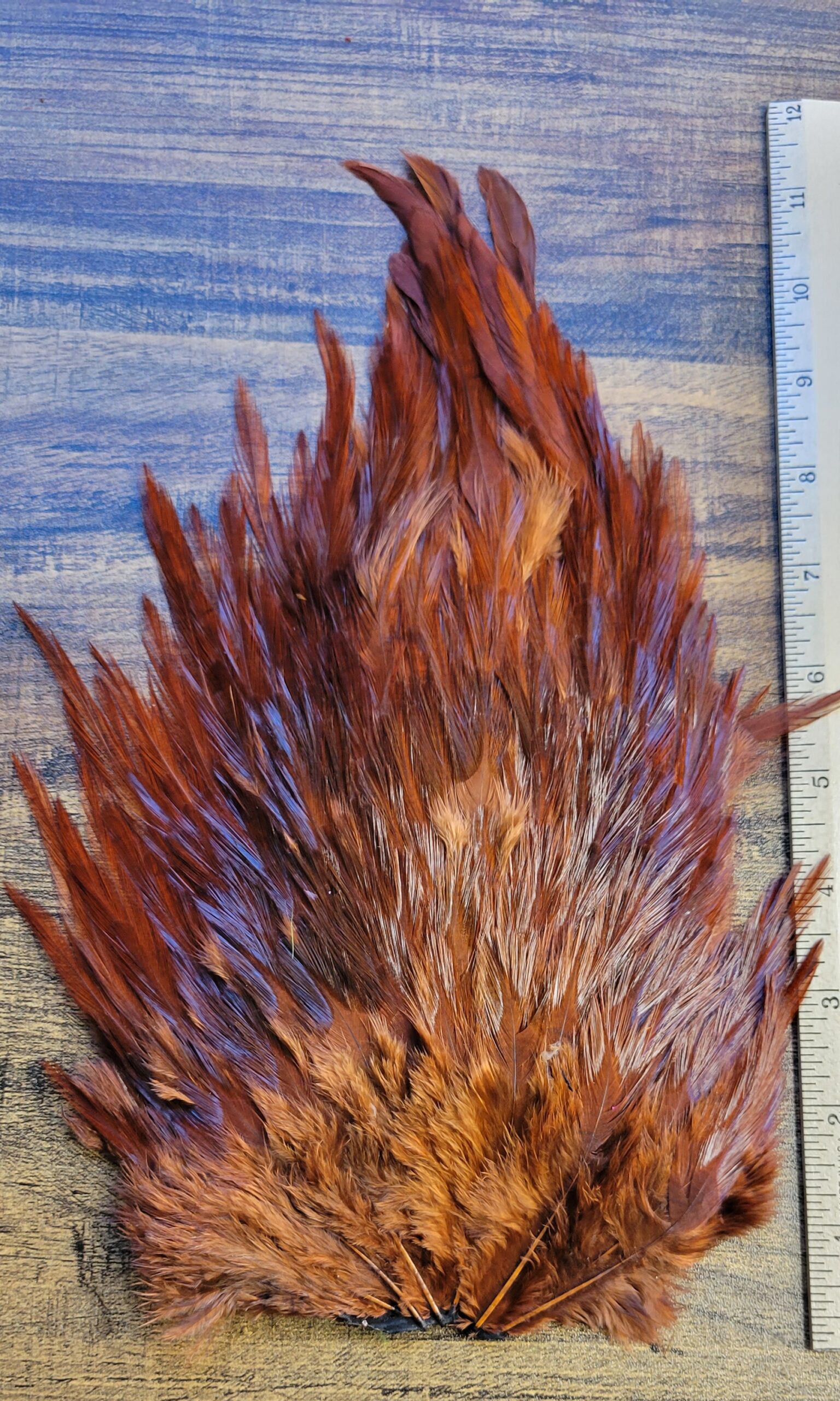 Lot 42, Extra Large DARK BROWN Dyed India Rooster "Streamer" Saddle Feathers Fly Tying Jewelry Crafts - Image 3