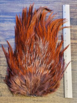 Lot 43, Extra Large DARK BROWN Dyed India Rooster "Streamer" Saddle Feathers Fly Tying Jewelry Crafts