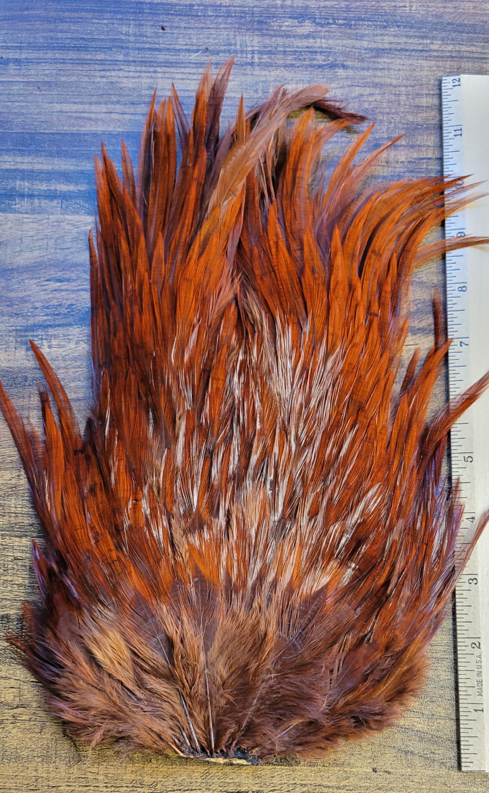 Lot 43, Extra Large DARK BROWN Dyed India Rooster "Streamer" Saddle Feathers Fly Tying Jewelry Crafts - Image 3