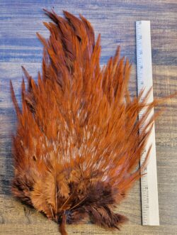 Lot 44, Extra Large DARK BROWN Dyed India Rooster "Streamer" Saddle Feathers Fly Tying Jewelry Crafts