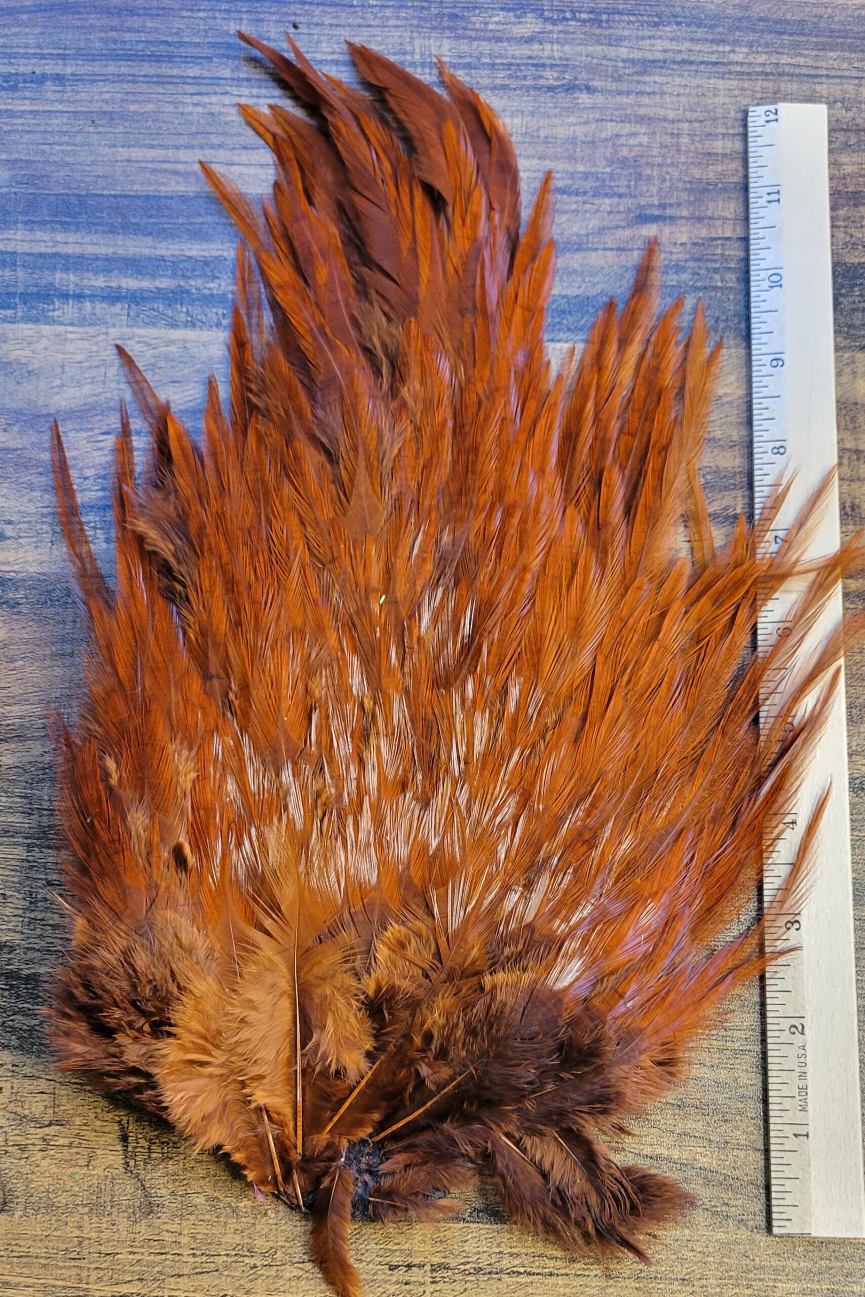 Lot 44, Extra Large DARK BROWN Dyed India Rooster "Streamer" Saddle Feathers Fly Tying Jewelry Crafts - Image 3