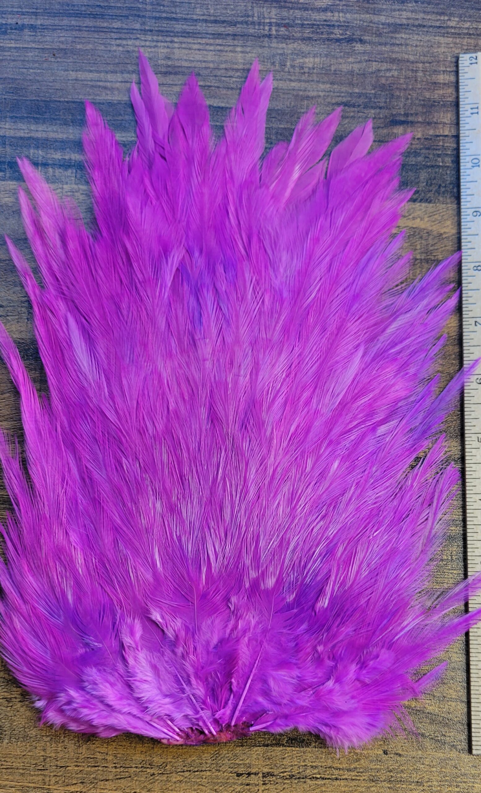 Lot 49, Extra Large Dyed PINKISH PURPLE India Rooster "Streamer" Saddle Feathers Fly Tying Jewelry Crafts - Image 3