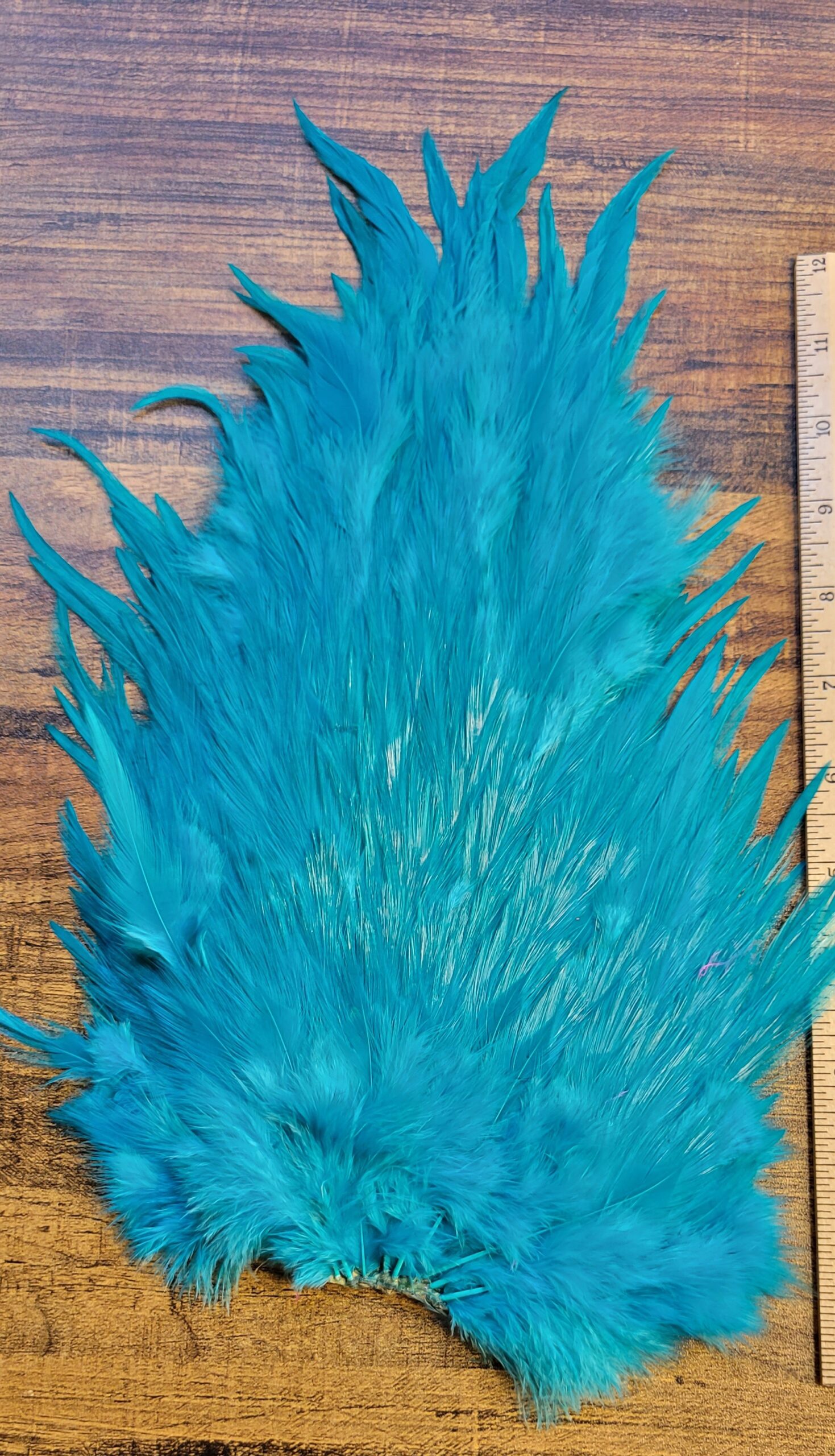 Lot 50, Extra Large Dyed BLUE India Rooster "Streamer" Saddle Feathers Fly Tying Jewelry Crafts - Image 3