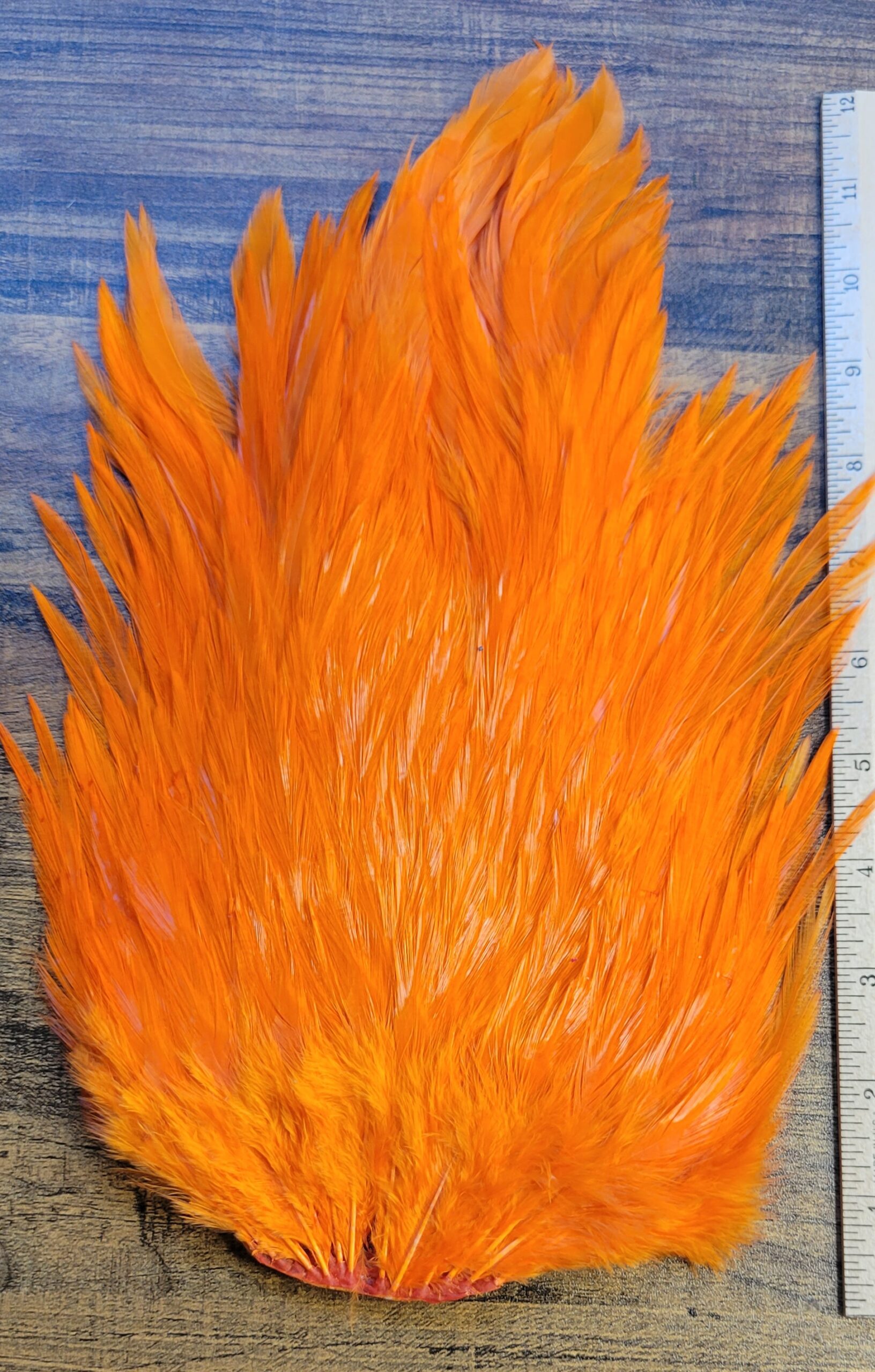 Lot 51, Extra Large Dyed ORANGE India Rooster "Streamer" Saddle Feathers Fly Tying Jewelry Crafts - Image 3