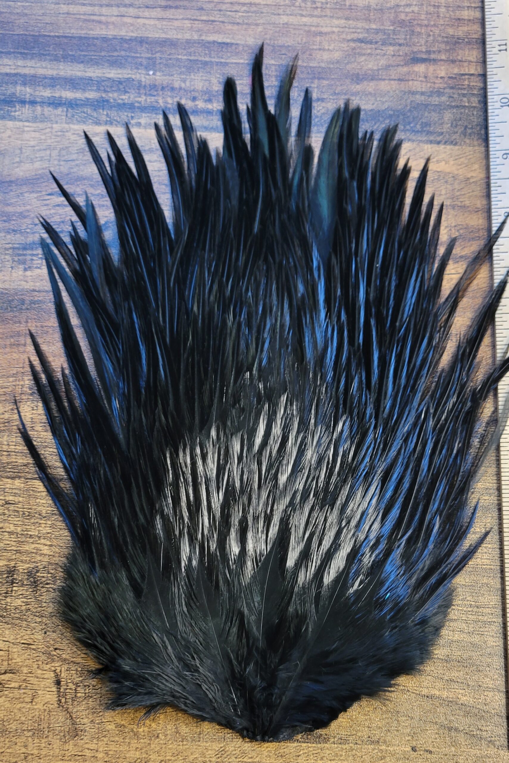 Lot 55, Extra Large Dyed BLACK India Rooster "Streamer" Saddle Feathers Fly Tying Jewelry Crafts - Image 3