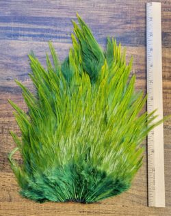Lot 57, Extra Large Dyed OLIVE India Rooster "Streamer" Saddle Feathers Fly Tying Jewelry Crafts