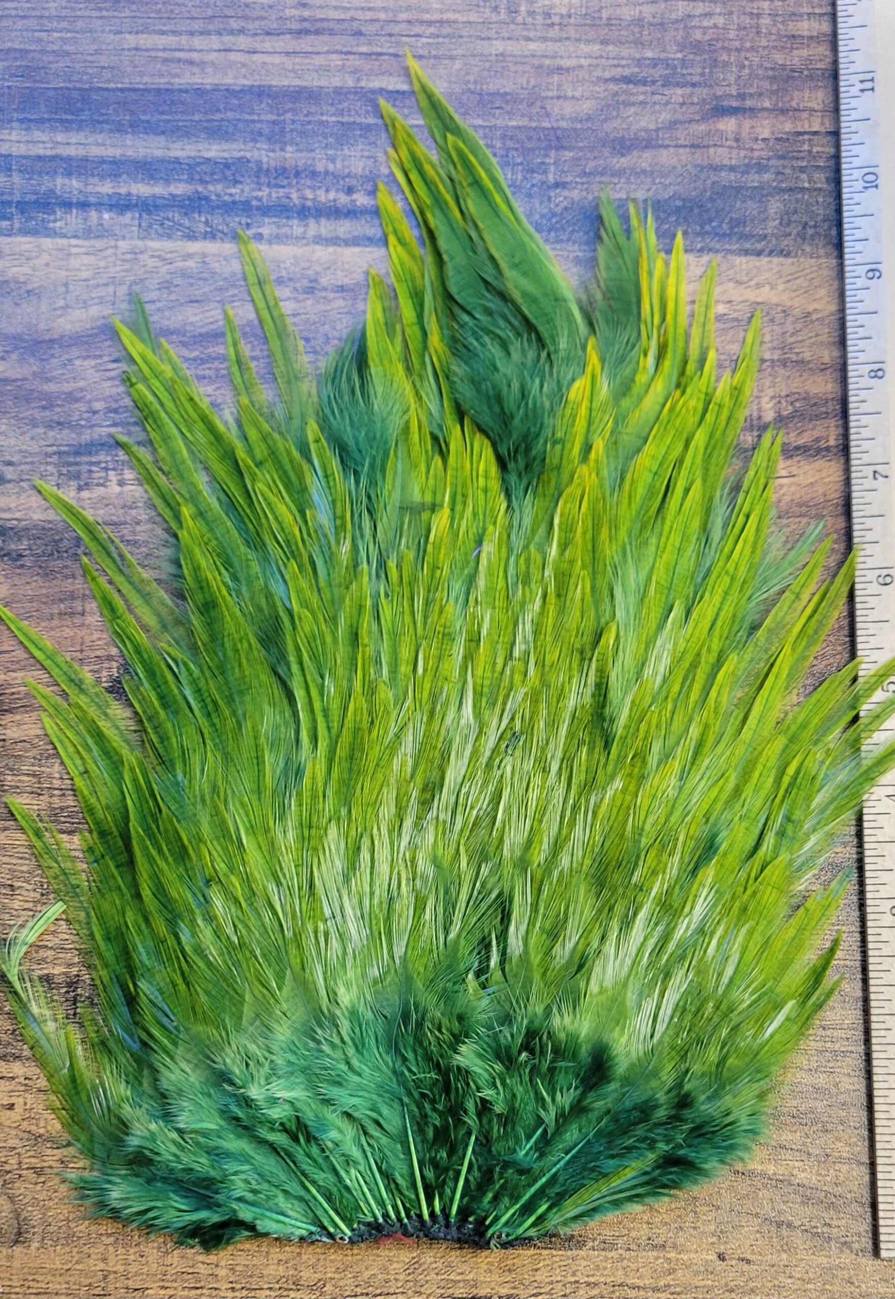 Lot 57, Extra Large Dyed OLIVE India Rooster "Streamer" Saddle Feathers Fly Tying Jewelry Crafts - Image 3