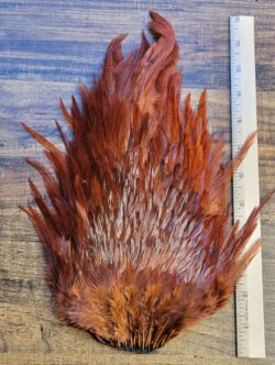 Lot 64, Extra Large Dyed DARK BROWN India Rooster "Streamer" Saddle Feathers Fly Tying Jewelry Crafts