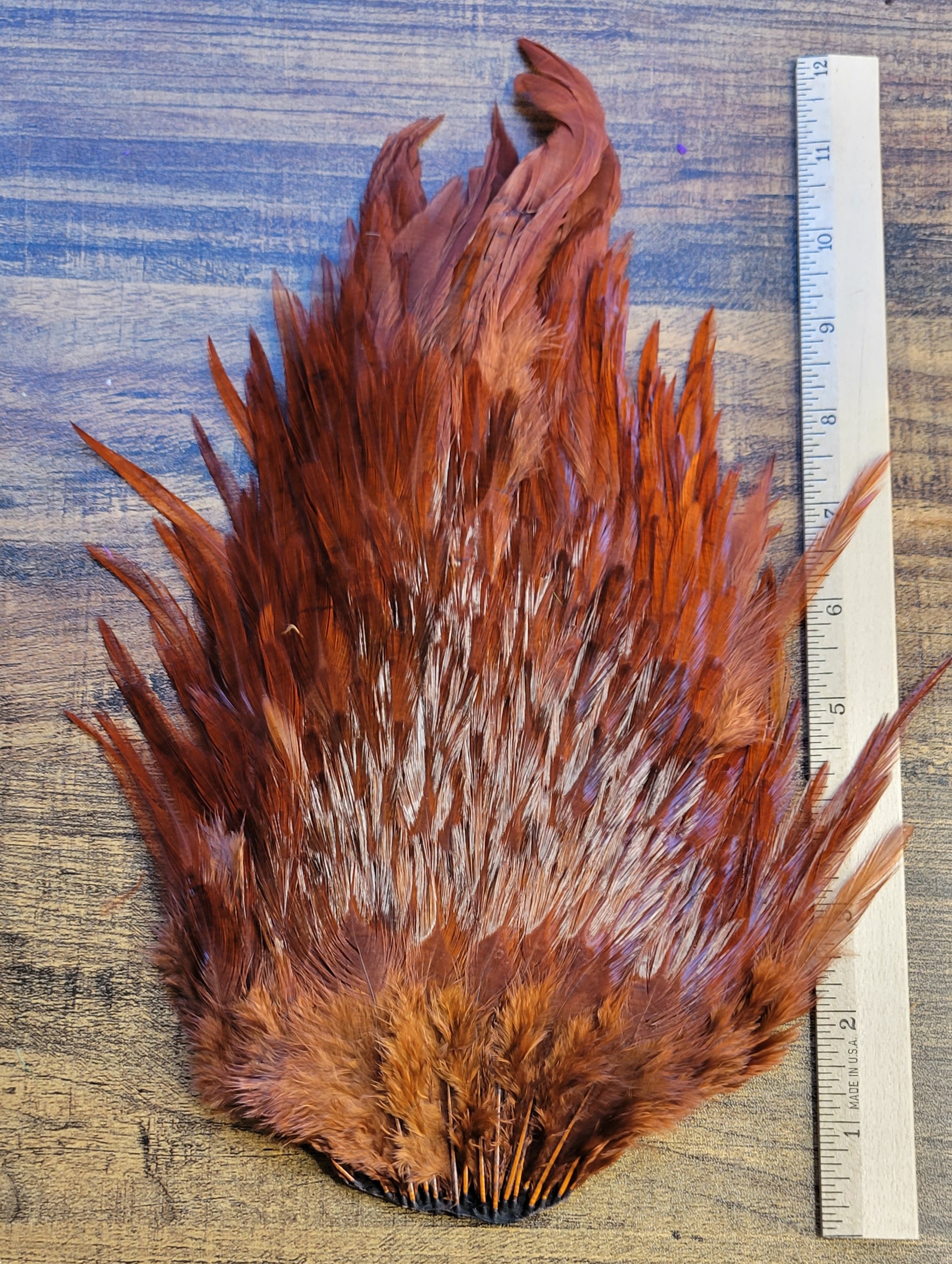 Lot 64, Extra Large Dyed DARK BROWN India Rooster "Streamer" Saddle Feathers Fly Tying Jewelry Crafts