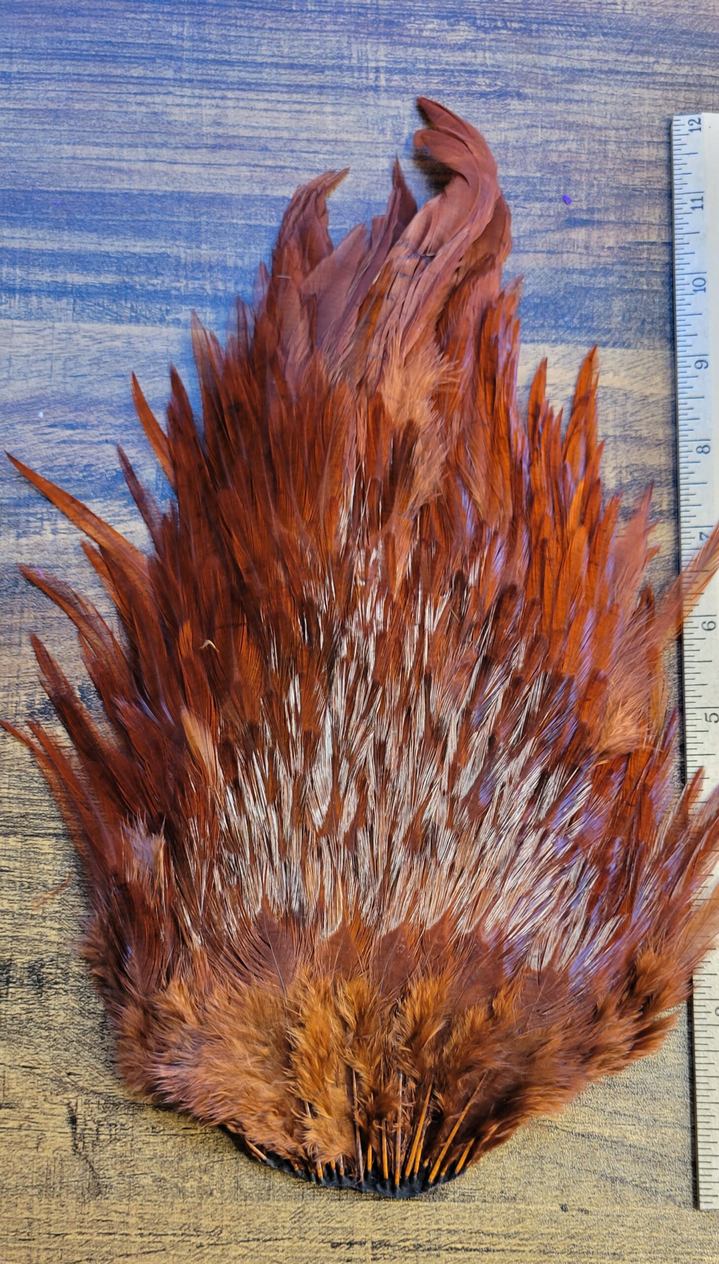 Lot 64, Extra Large Dyed DARK BROWN India Rooster "Streamer" Saddle Feathers Fly Tying Jewelry Crafts - Image 3