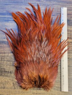 Lot 65, Extra Large Dyed DARK BROWN India Rooster "Streamer" Saddle Feathers Fly Tying Jewelry Crafts