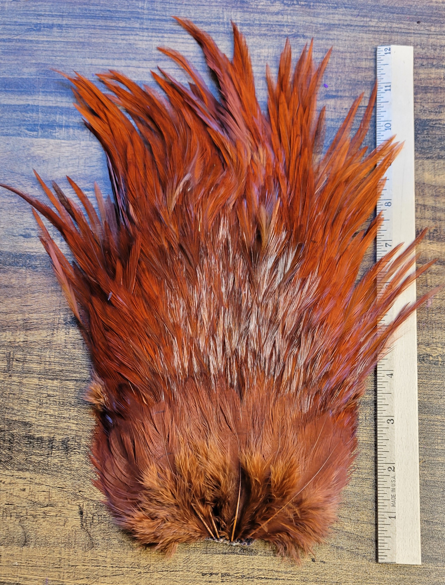 Lot 65, Extra Large Dyed DARK BROWN India Rooster "Streamer" Saddle Feathers Fly Tying Jewelry Crafts