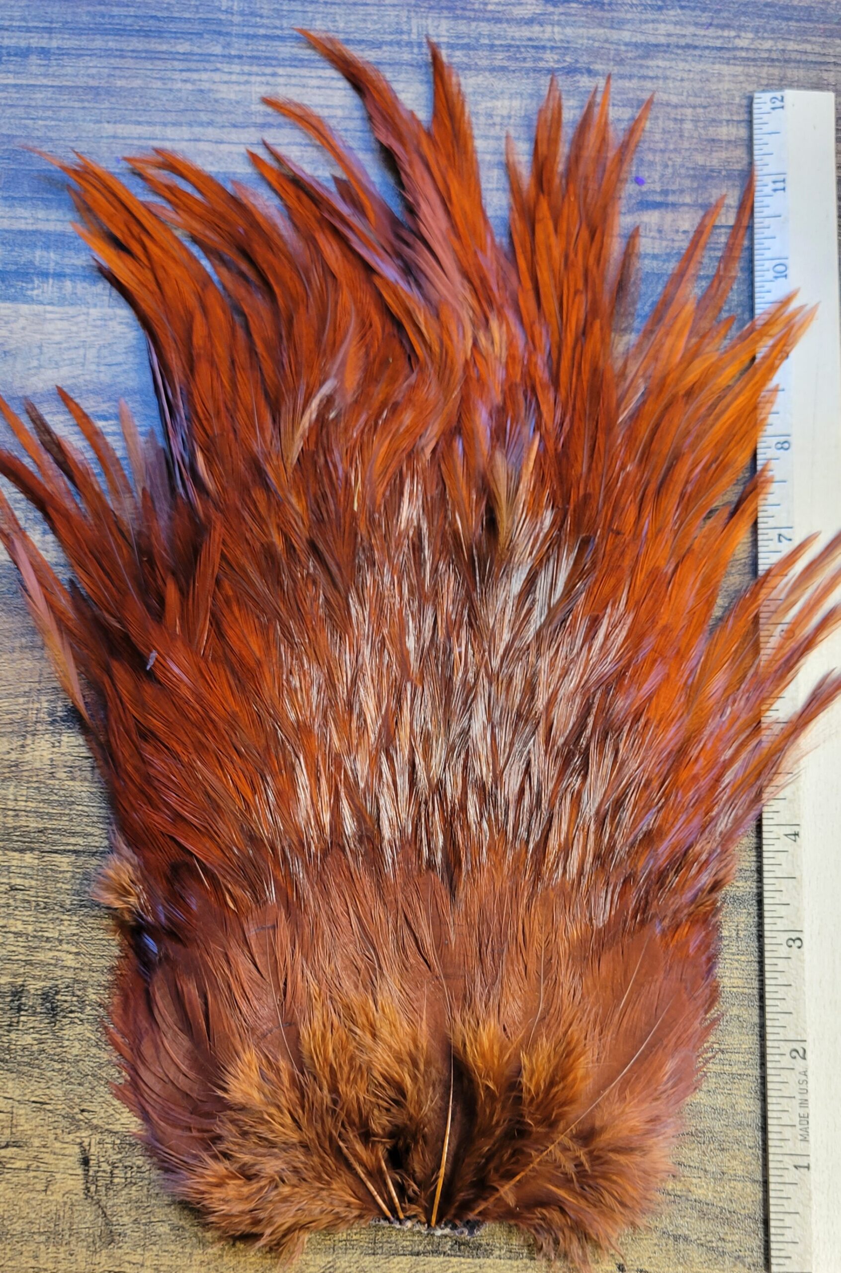 Lot 65, Extra Large Dyed DARK BROWN India Rooster "Streamer" Saddle Feathers Fly Tying Jewelry Crafts - Image 3