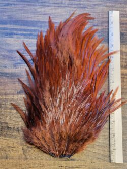 Lot 66, Extra Large Dyed DARK BROWN India Rooster "Streamer" Saddle Feathers Fly Tying Jewelry Crafts