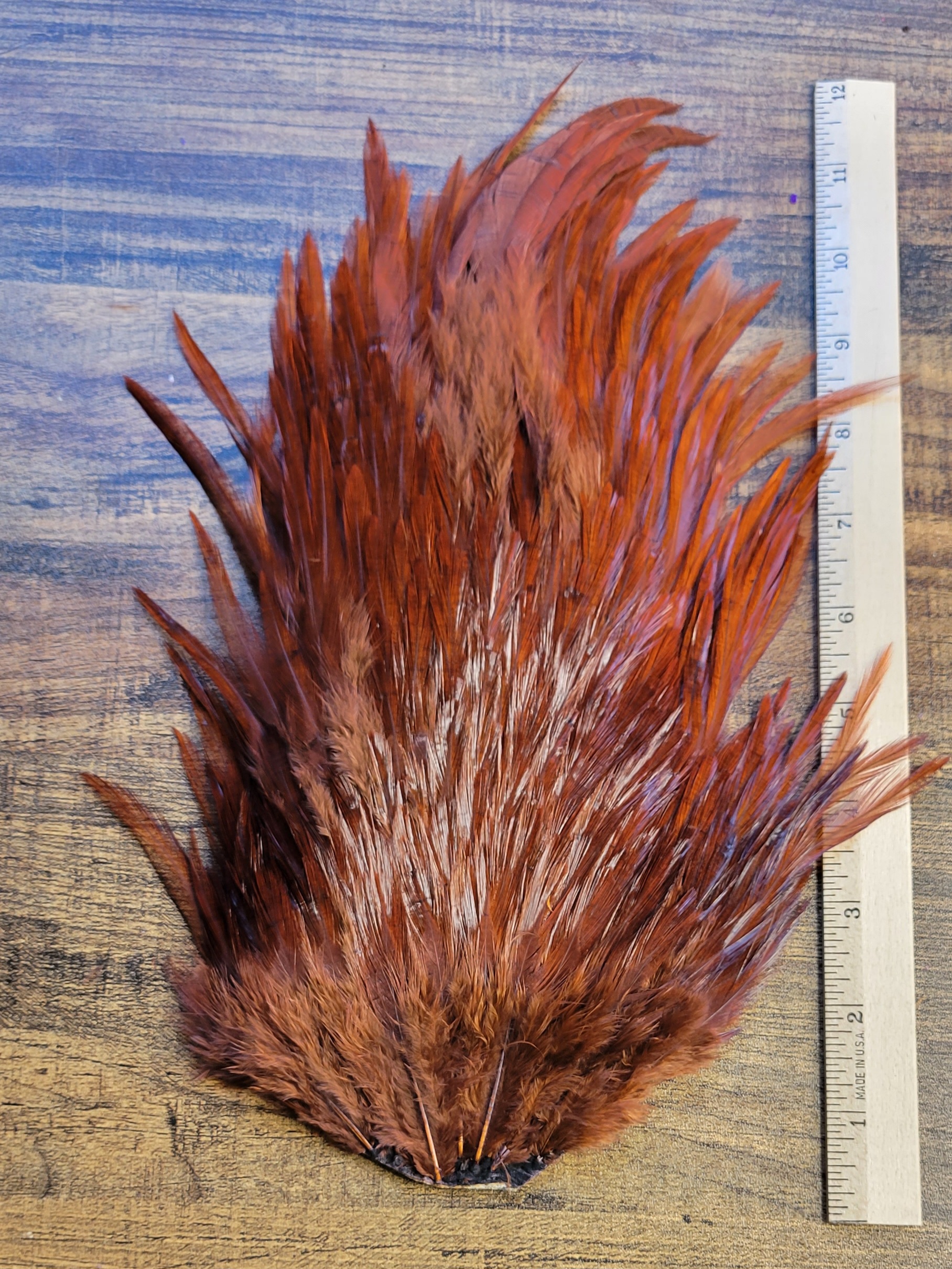 Lot 66, Extra Large Dyed DARK BROWN India Rooster "Streamer" Saddle Feathers Fly Tying Jewelry Crafts