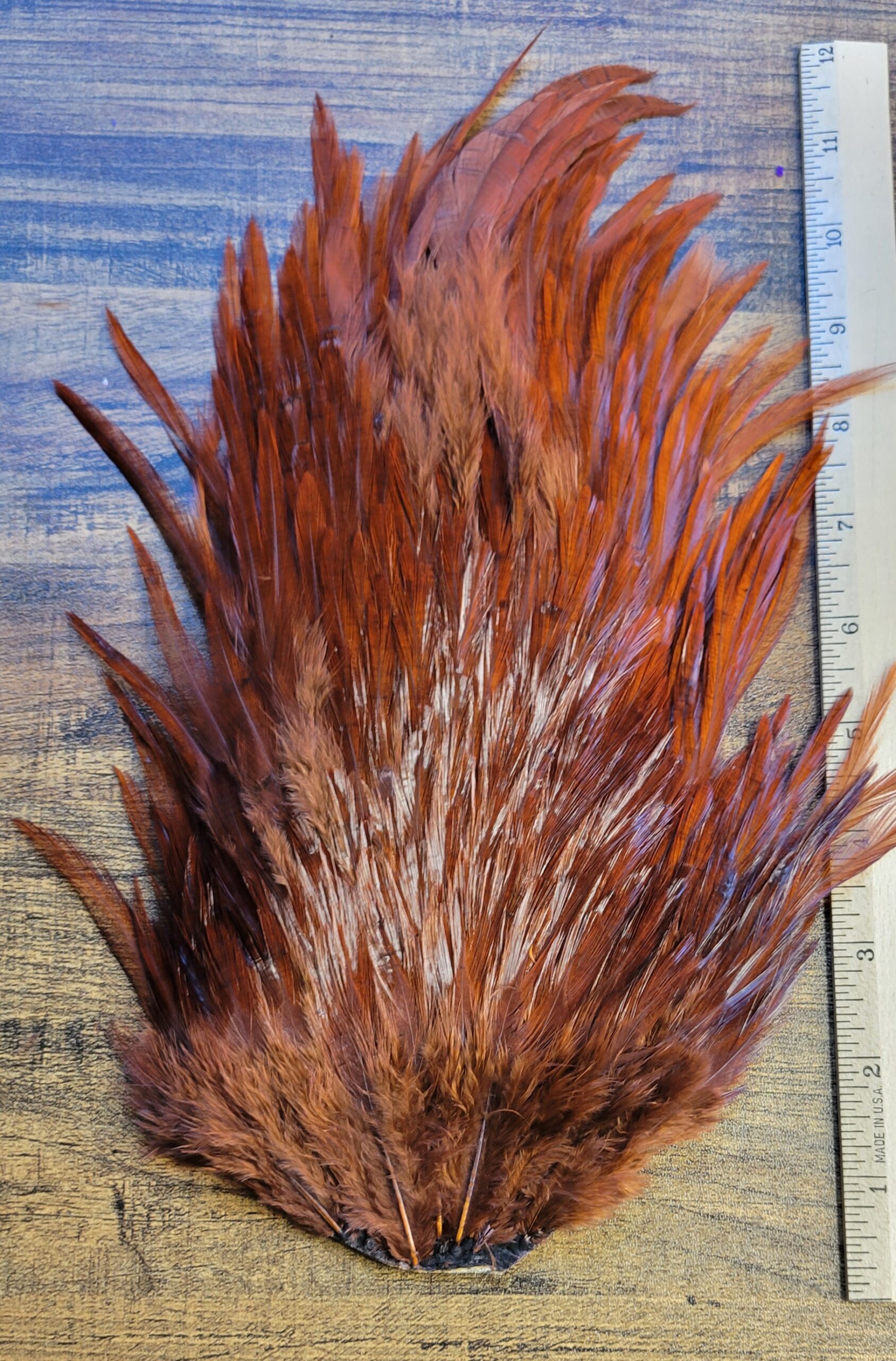 Lot 66, Extra Large Dyed DARK BROWN India Rooster "Streamer" Saddle Feathers Fly Tying Jewelry Crafts - Image 3