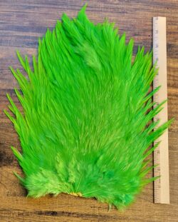 Lot 67, Extra Large Dyed CHARTREUSE India Rooster "Streamer" Saddle Feathers Fly Tying Jewelry Crafts