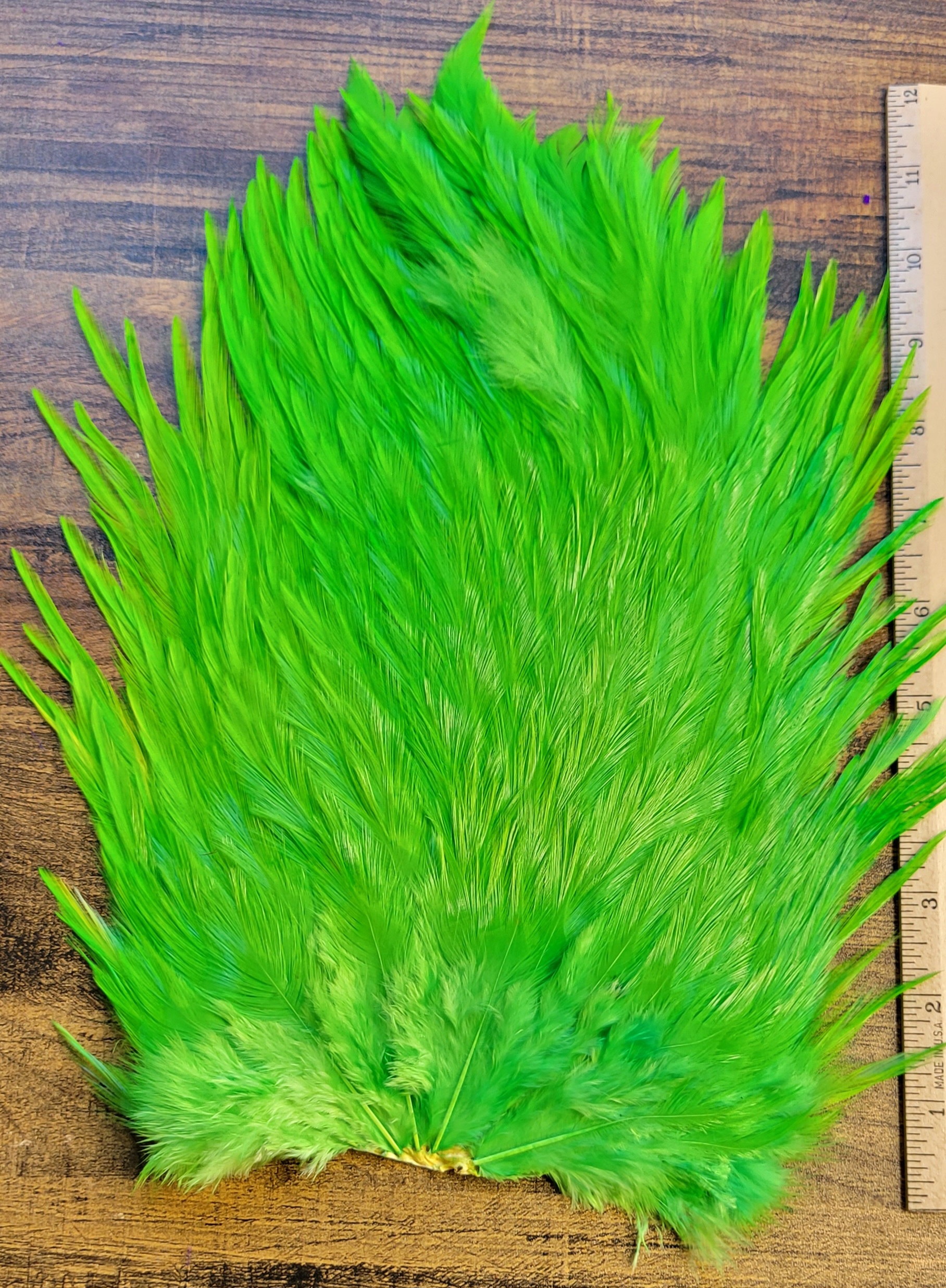 Lot 67, Extra Large Dyed CHARTREUSE India Rooster "Streamer" Saddle Feathers Fly Tying Jewelry Crafts - Image 3