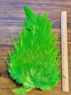 Lot 68, Extra Large Dyed CHARTREUSE India Rooster "Streamer" Saddle Feathers Fly Tying Jewelry Crafts