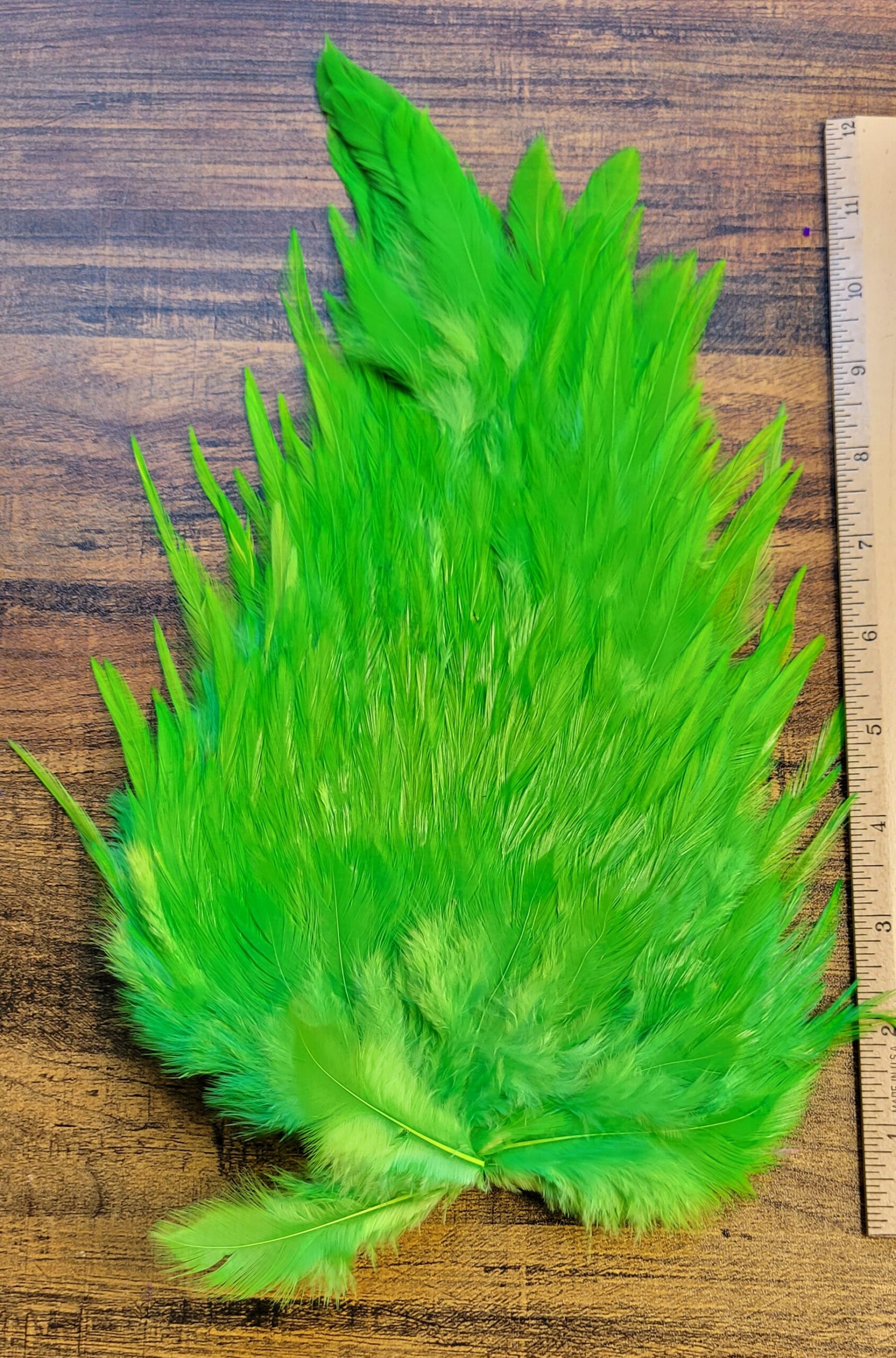 Lot 68, Extra Large Dyed CHARTREUSE India Rooster "Streamer" Saddle Feathers Fly Tying Jewelry Crafts - Image 3