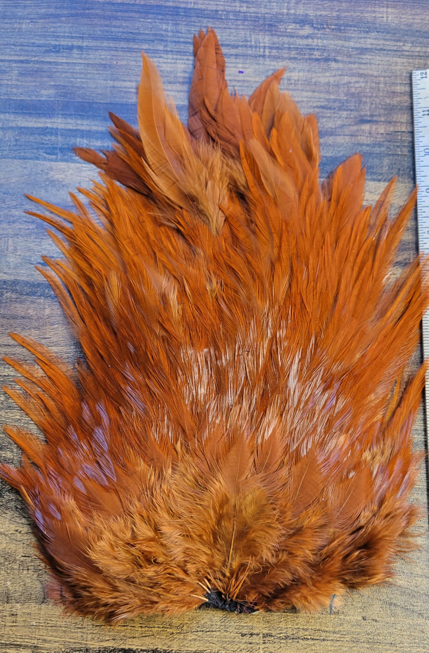Lot 72, Extra Large Dyed BROWN India Rooster "Streamer" Saddle Feathers Fly Tying Jewelry Crafts - Image 3